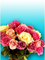 4 Dozen Mix Roses Bouquet 